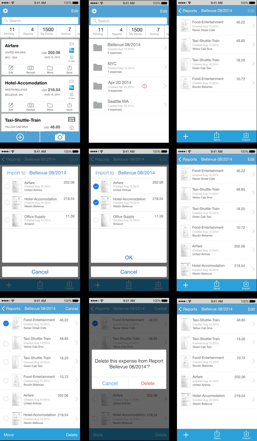 Axure prototype screens for ExpenseIt4Everyone