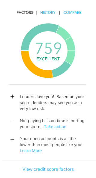 Mint Credit Score first tab concept, device view