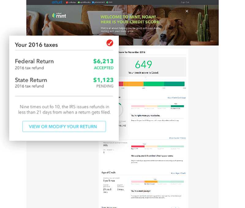 Federal and State return status in Mint